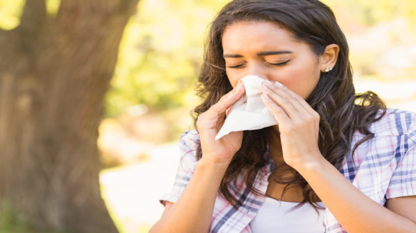 Hay Fever is Putting Drivers at Risk